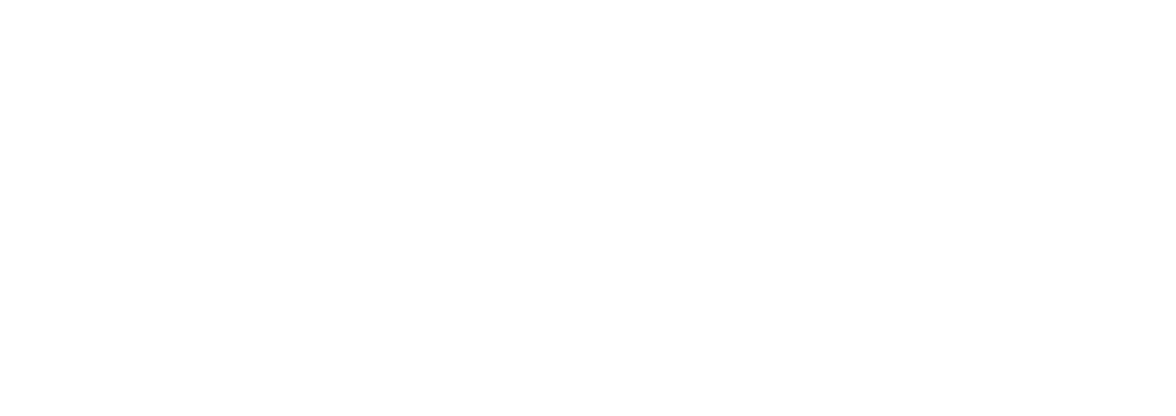 Fleet Clean logo